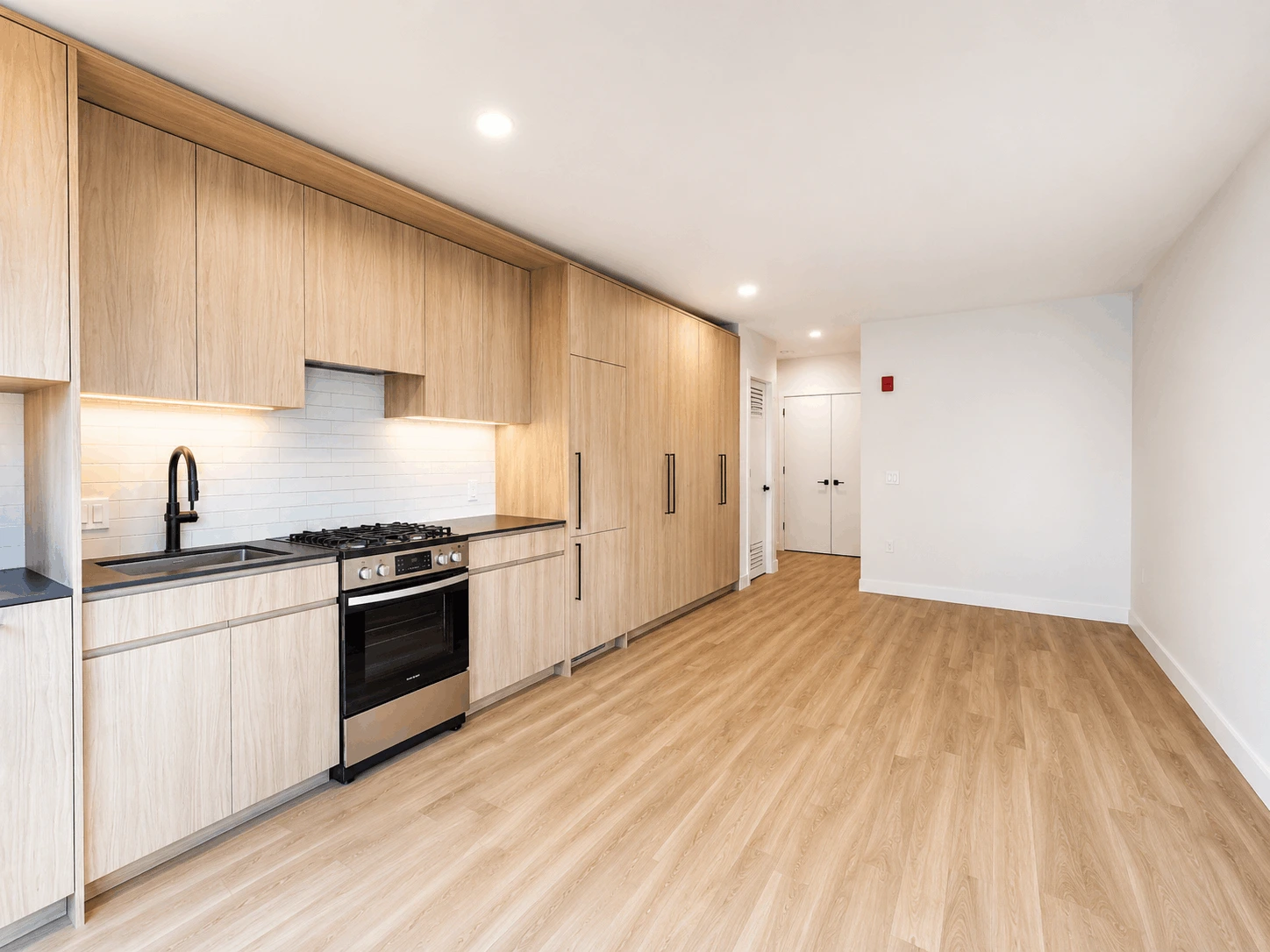 Living area in Large Studio - Unit 01, Unit 1 at Stead 220, Fulton Market